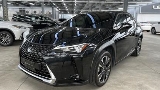 2021 Lexus 凌志 Ux