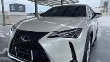 2022 Lexus 凌志 UX