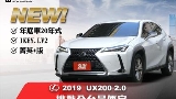 2019 Lexus 凌志 UX